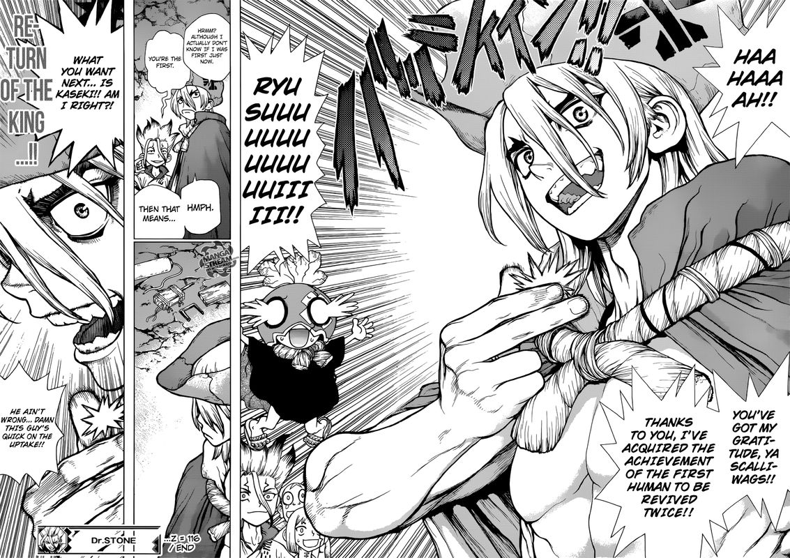 Dr. Stone Chapter 116 - Page 17