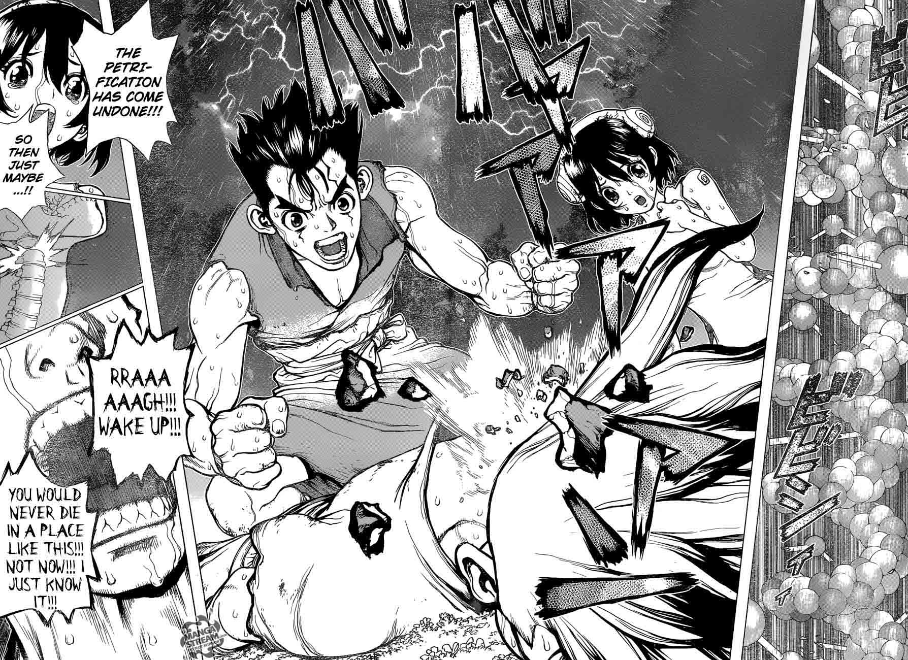 Dr. Stone Chapter 12 - Page 14