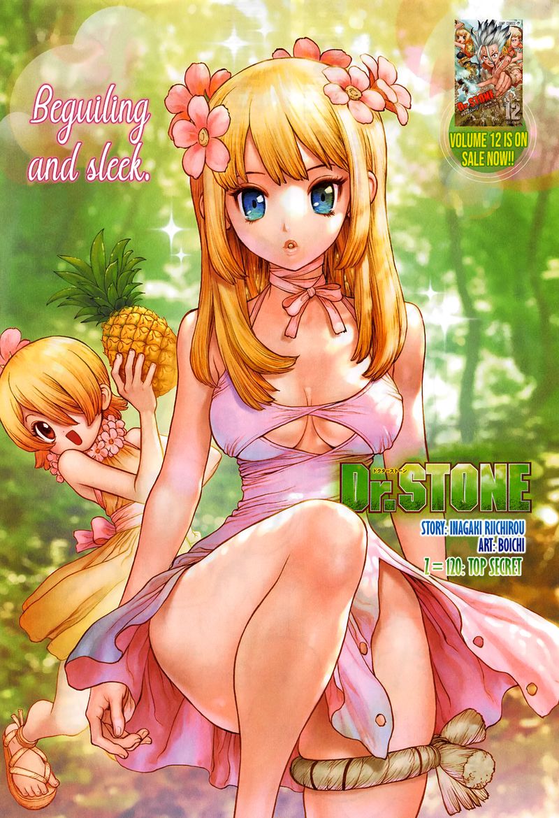 Dr. Stone Chapter 120 - Page 1
