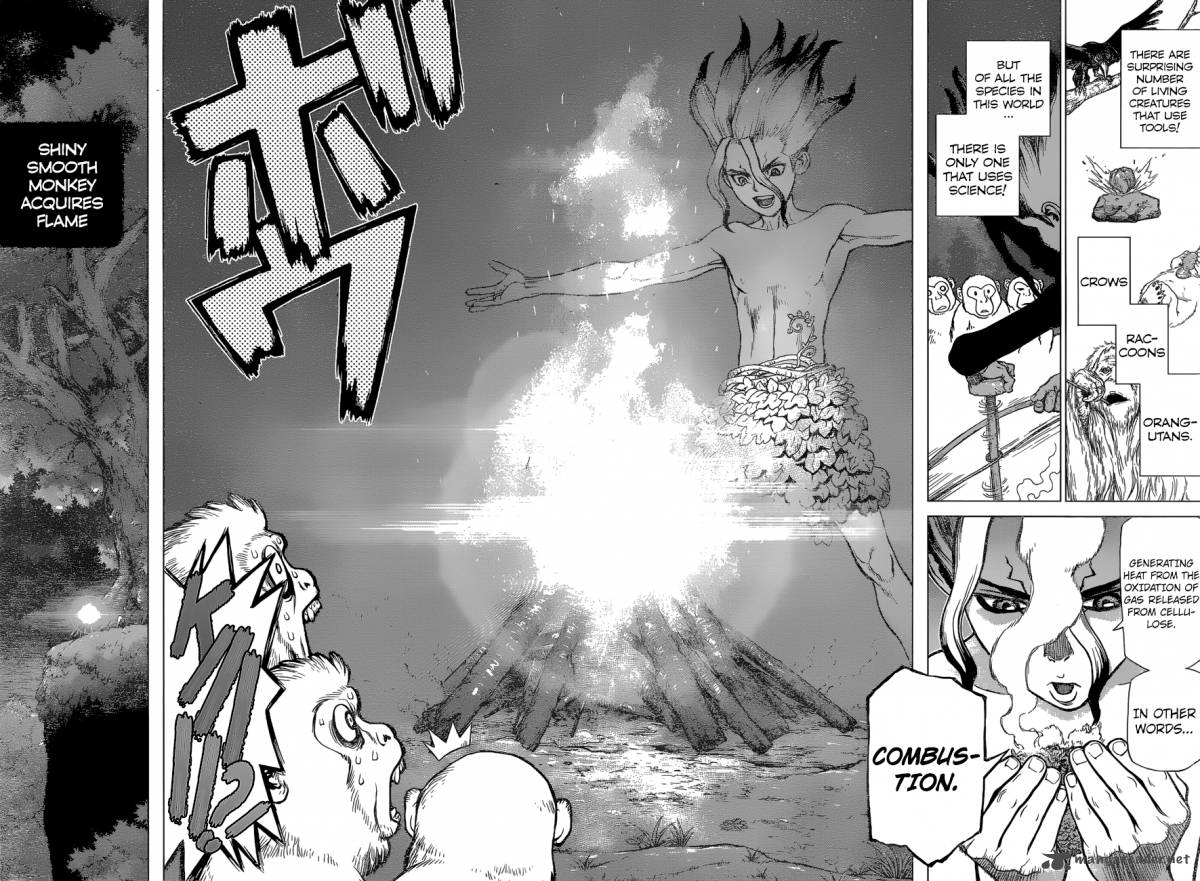Dr. Stone Chapter 13 - Page 15