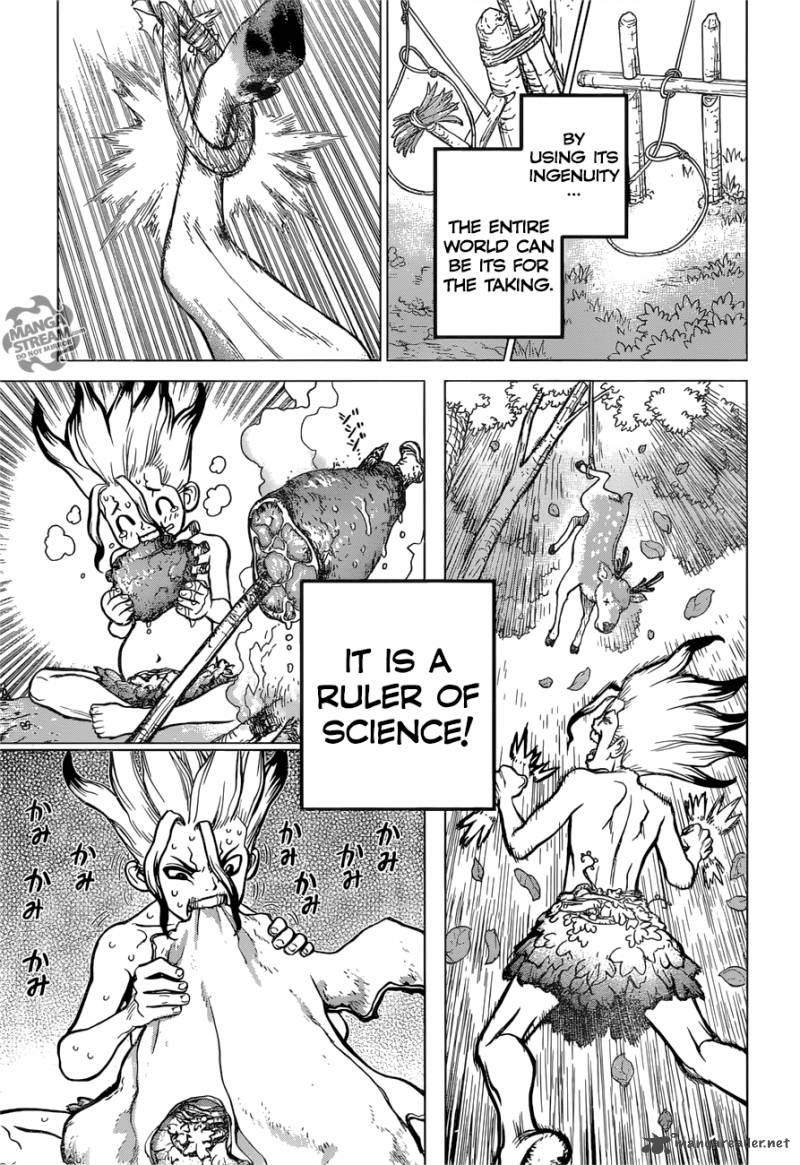 Dr. Stone Chapter 13 - Page 17