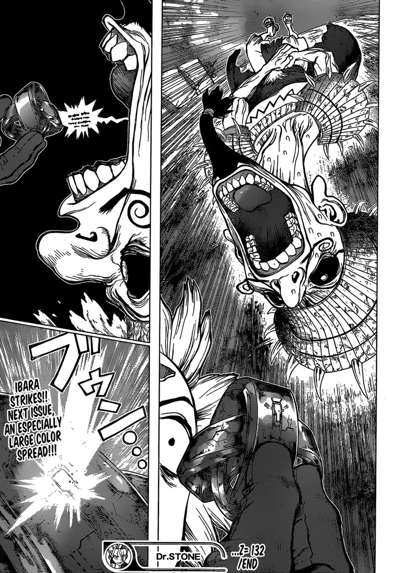 Dr. Stone Chapter 132 - Page 17