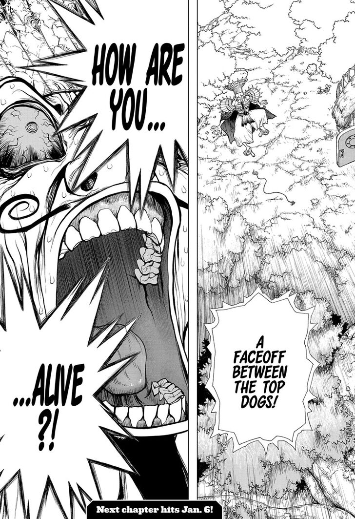 Dr. Stone Chapter 134 - Page 19