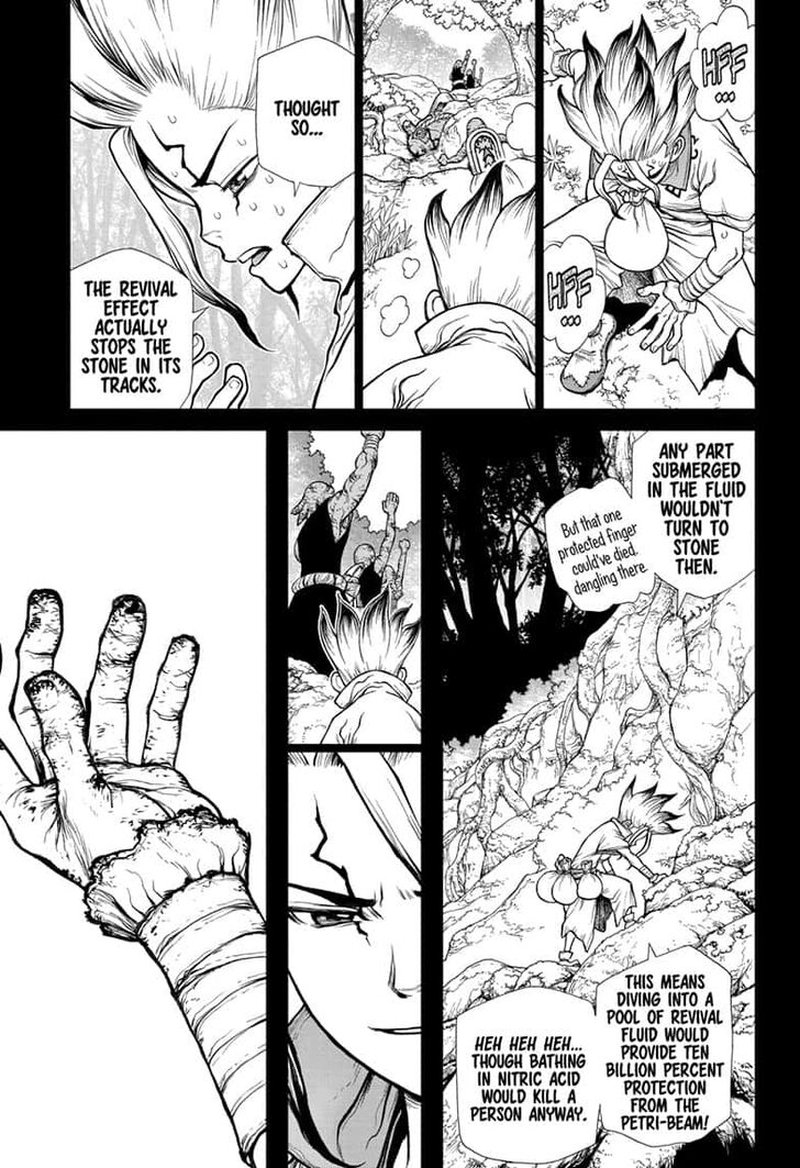 Dr. Stone Chapter 135 - Page 11