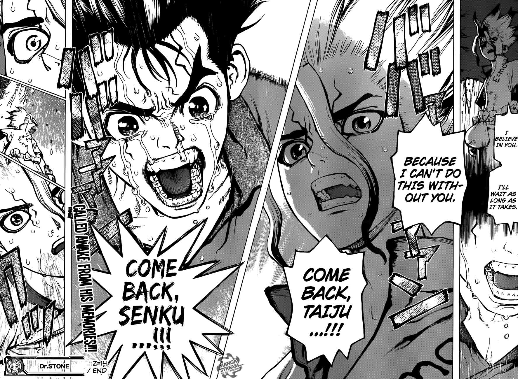 Dr. Stone Chapter 14 - Page 17