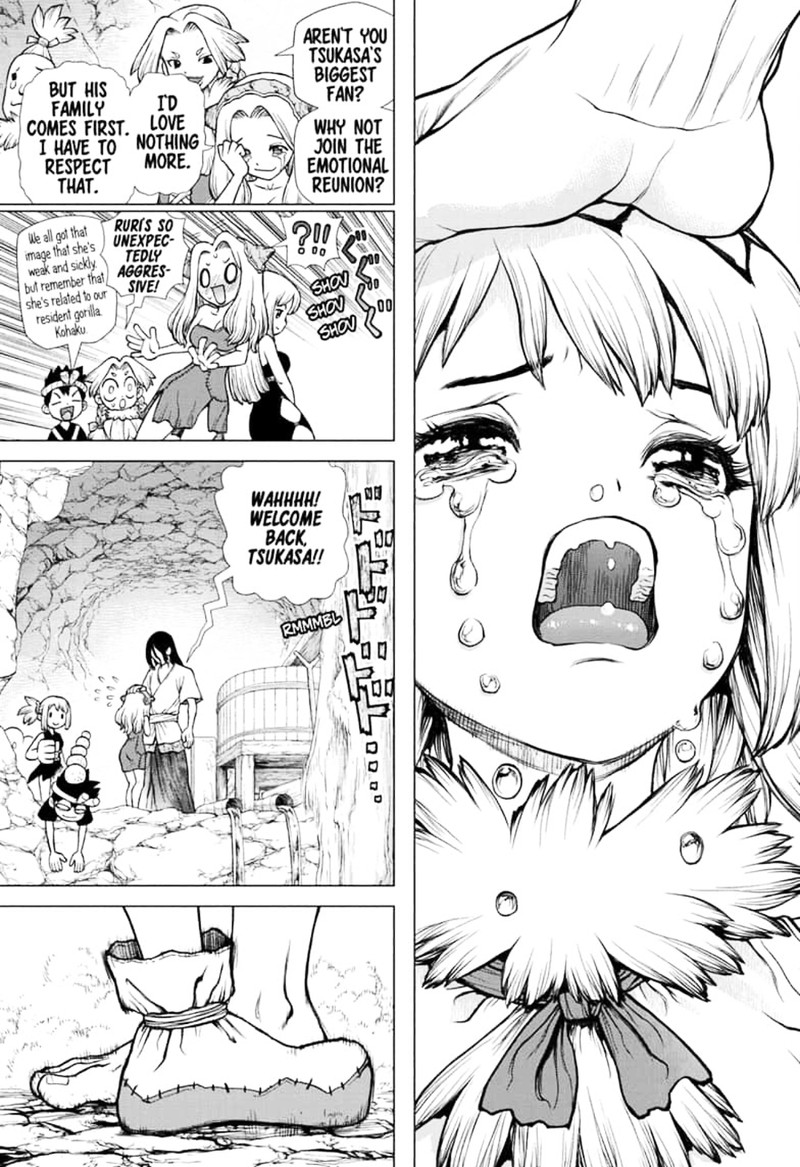 Dr. Stone Chapter 141 - Page 12
