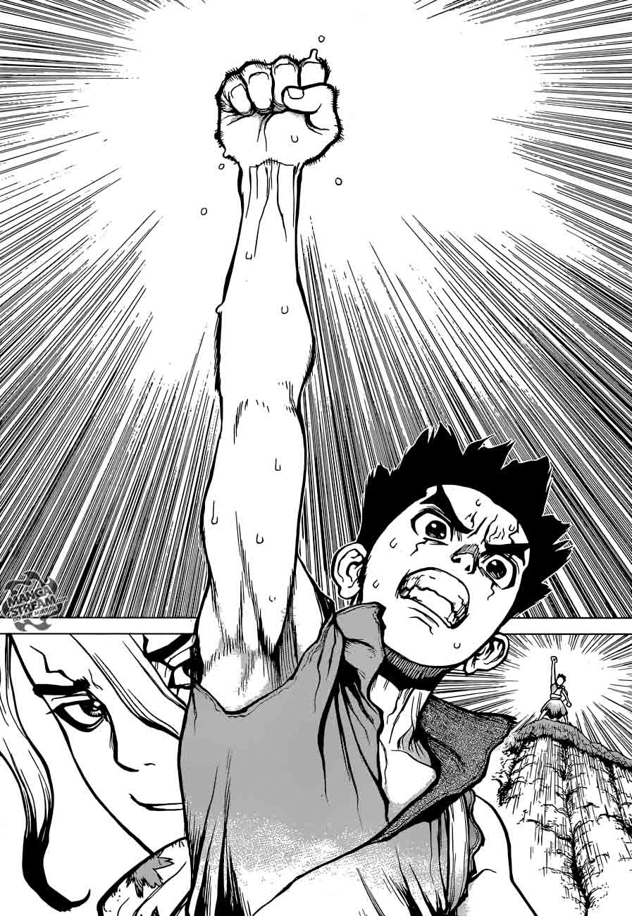 Dr. Stone Chapter 15 - Page 17