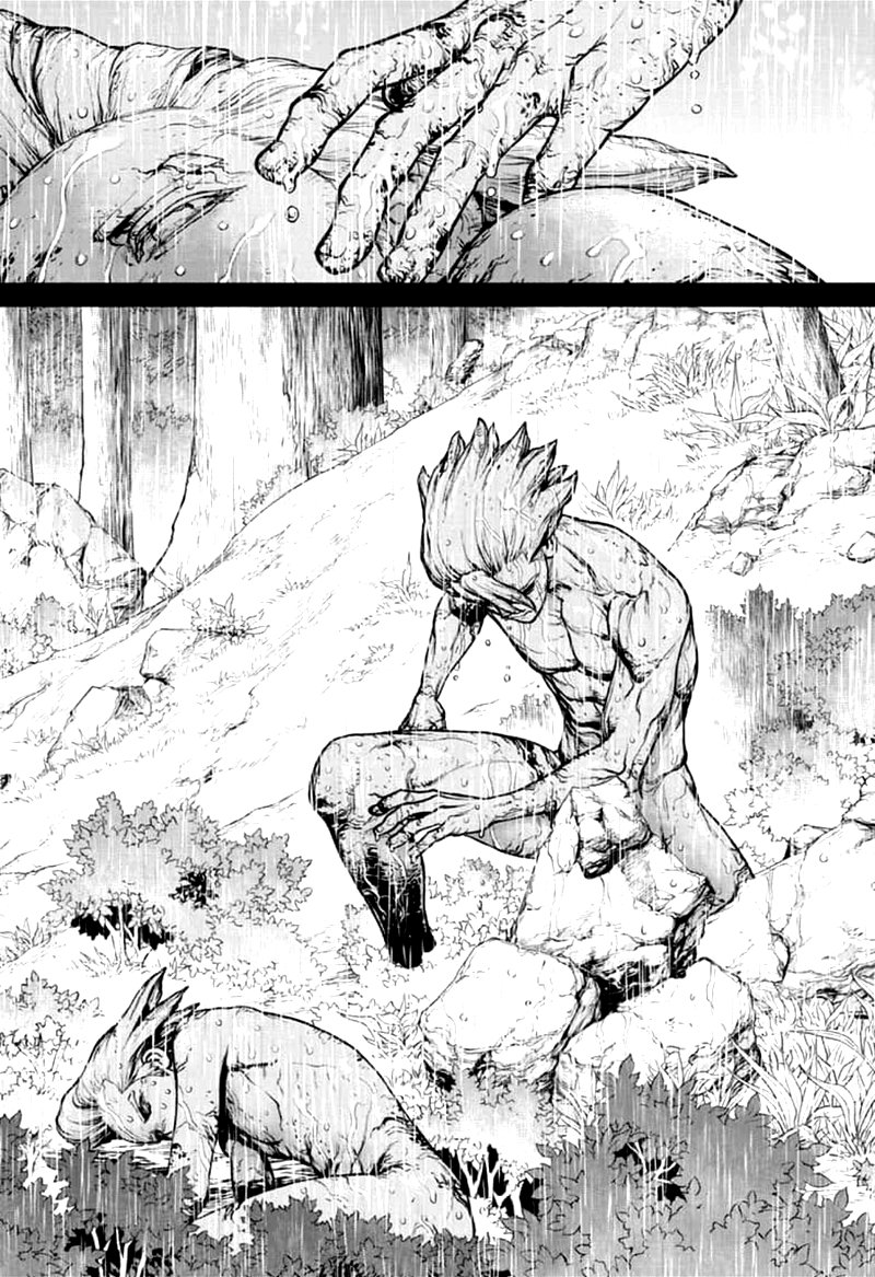 Dr. Stone Chapter 157 - Page 13