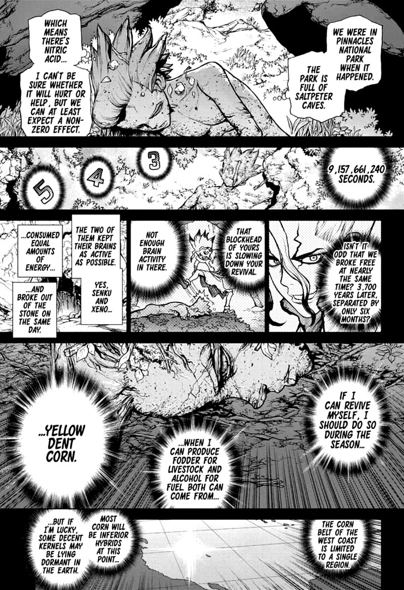 Dr. Stone Chapter 157 - Page 14