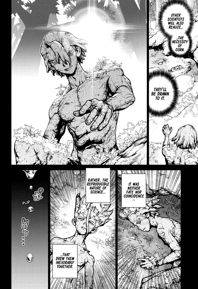 Dr. Stone Chapter 157 - Page 15