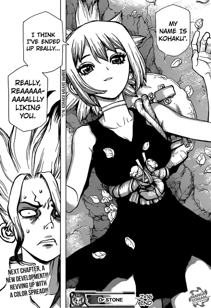 Dr. Stone Chapter 16 - Page 17