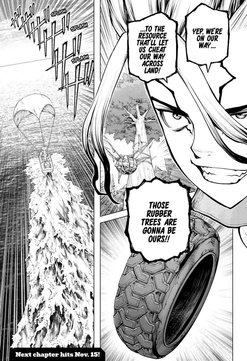 Dr. Stone Chapter 173 - Page 17