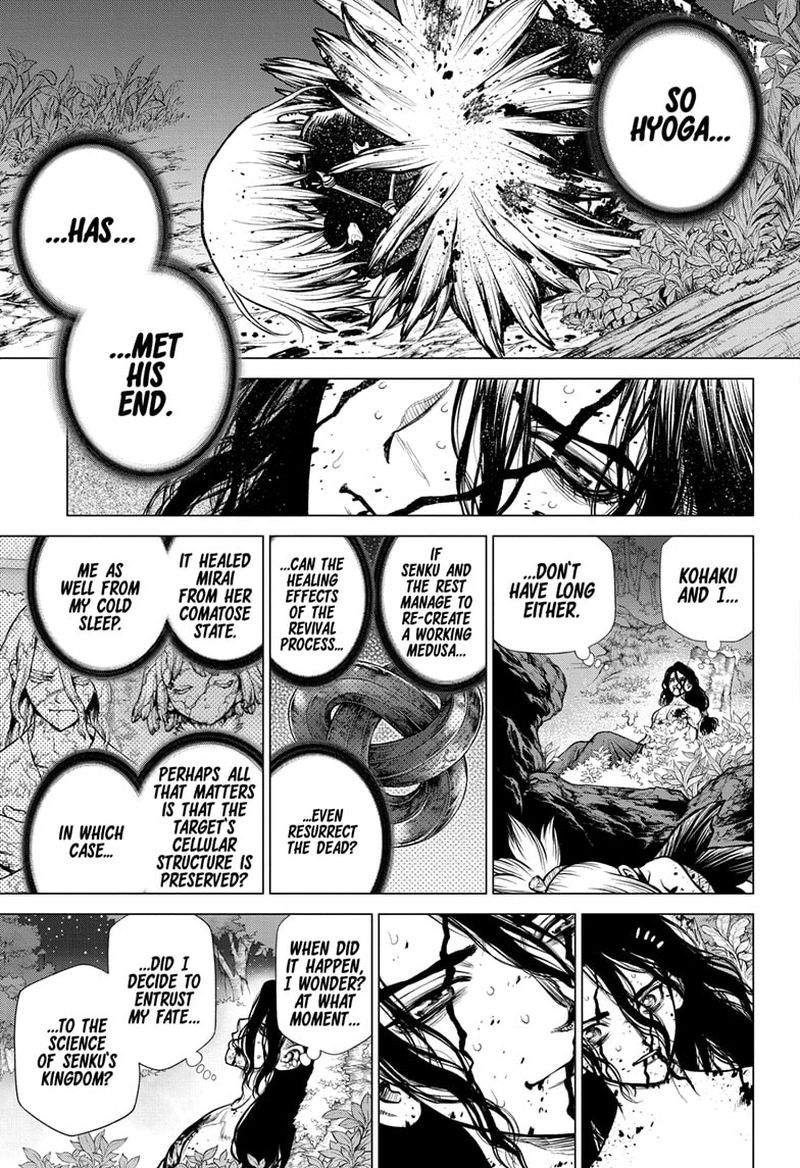 Dr. Stone Chapter 188 - Page 14