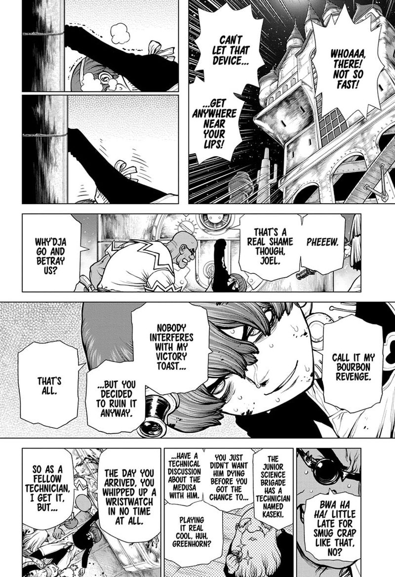 Dr. Stone Chapter 191 - Page 13