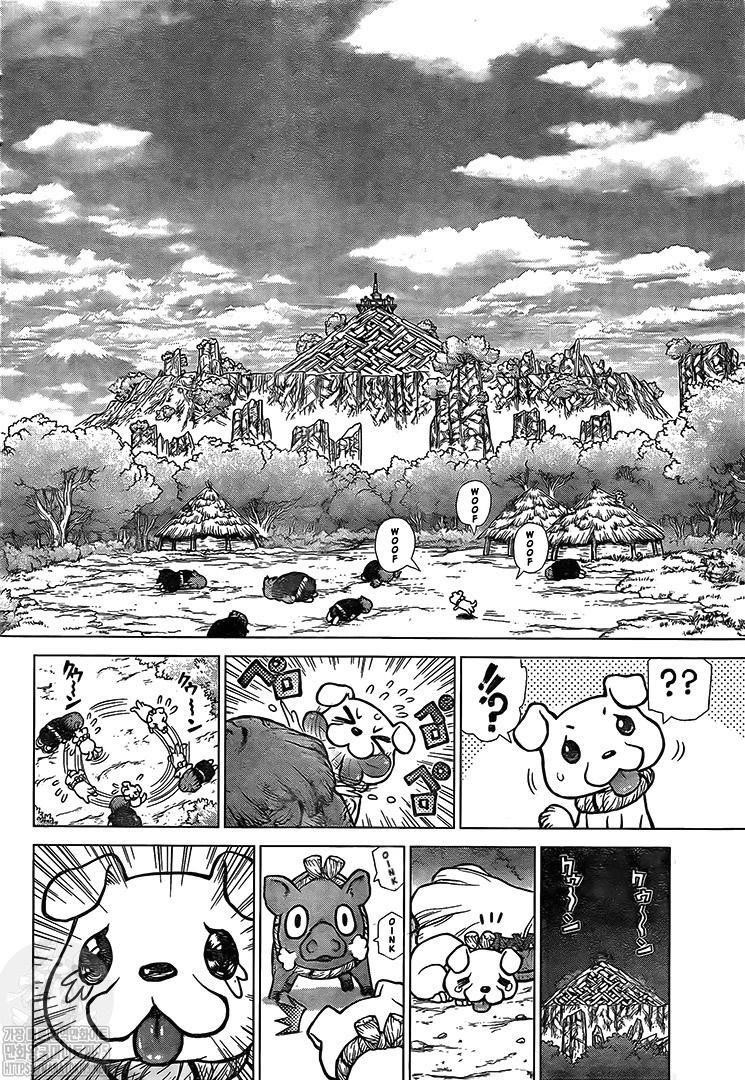 Dr. Stone Chapter 193 - Page 13