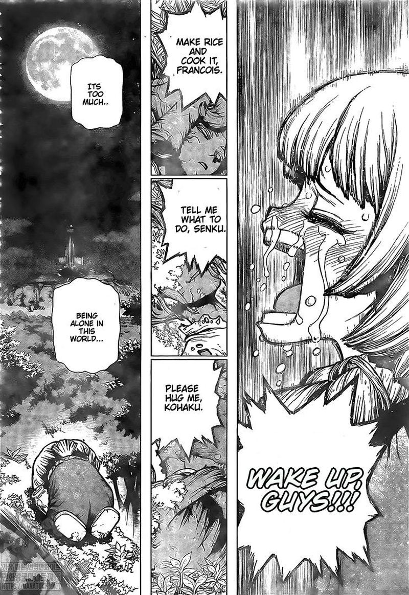 Dr. Stone Chapter 194 - Page 13