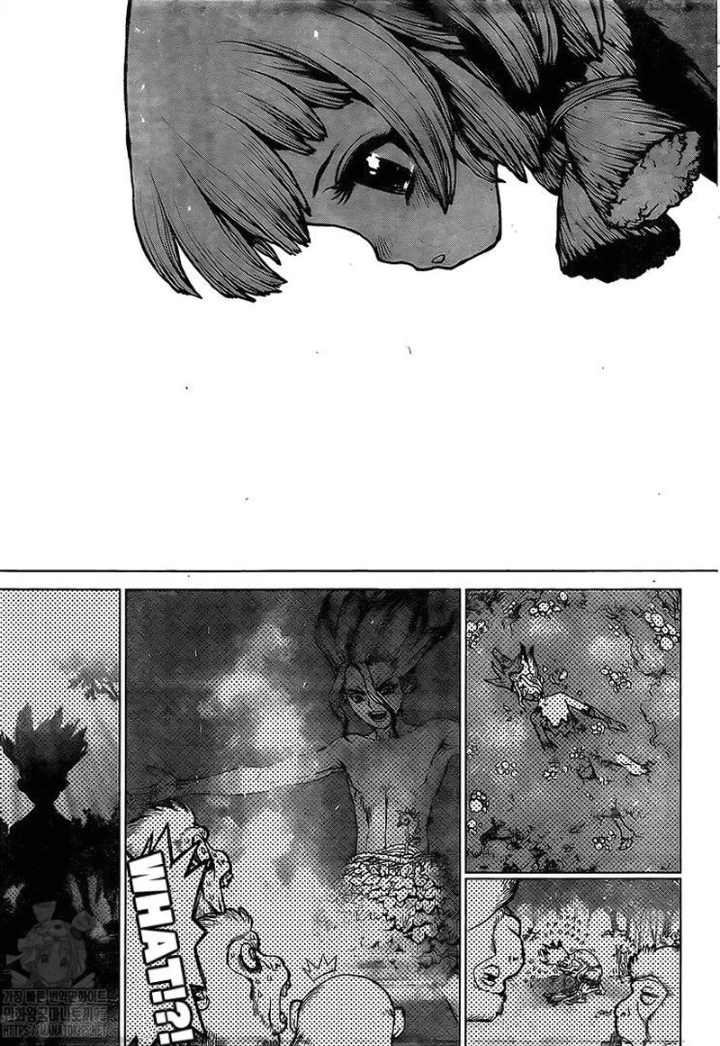 Dr. Stone Chapter 194 - Page 14