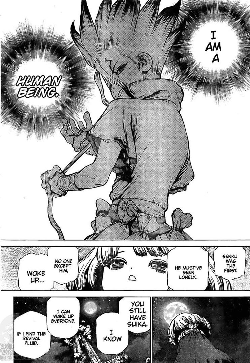 Dr. Stone Chapter 194 - Page 15