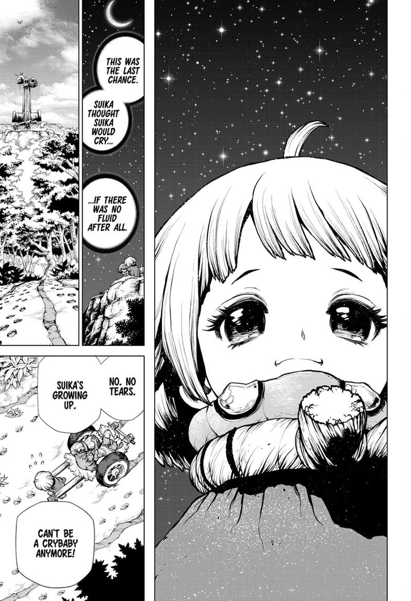 Dr. Stone Chapter 195 - Page 12