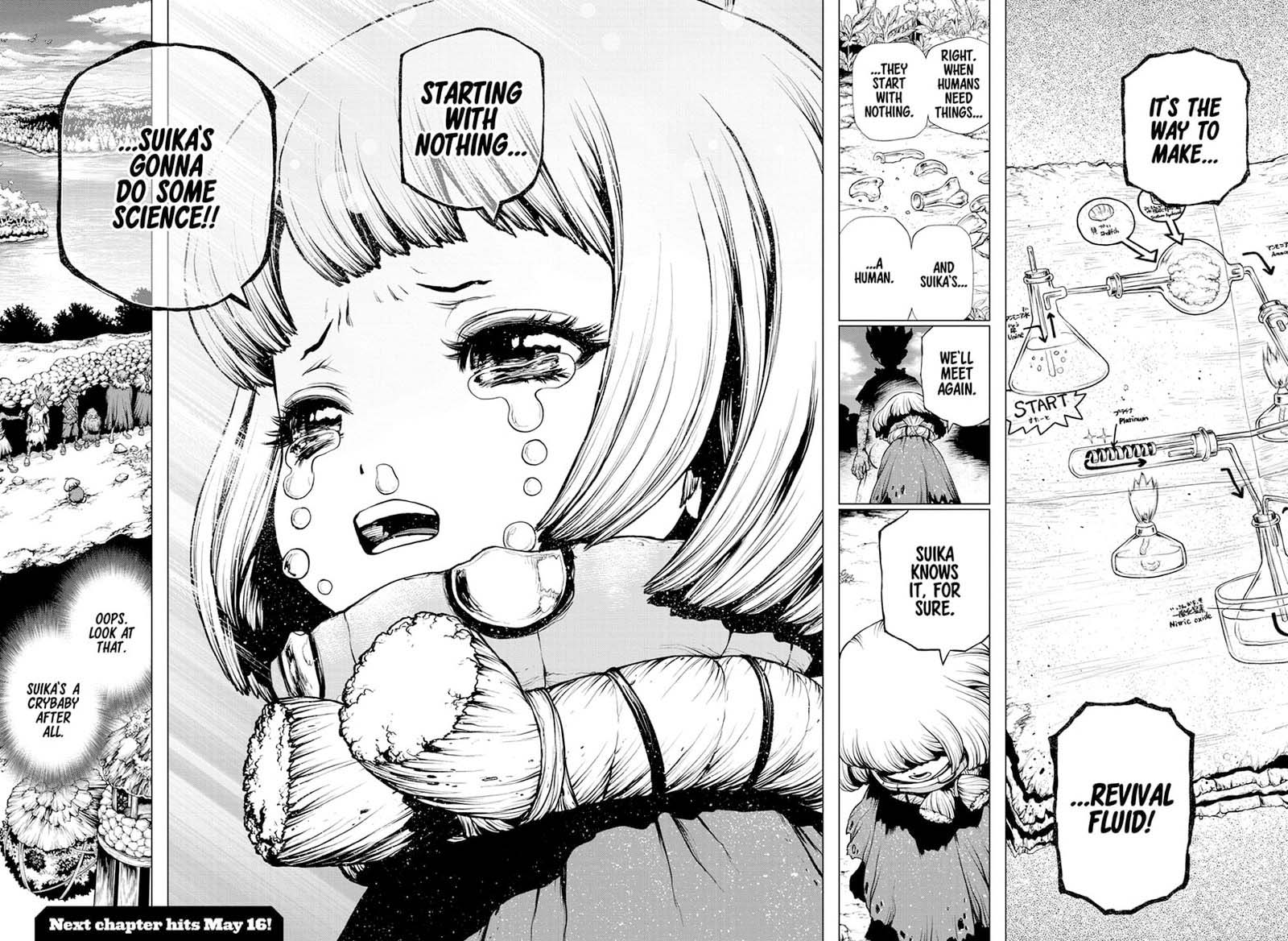 Dr. Stone Chapter 195 - Page 16