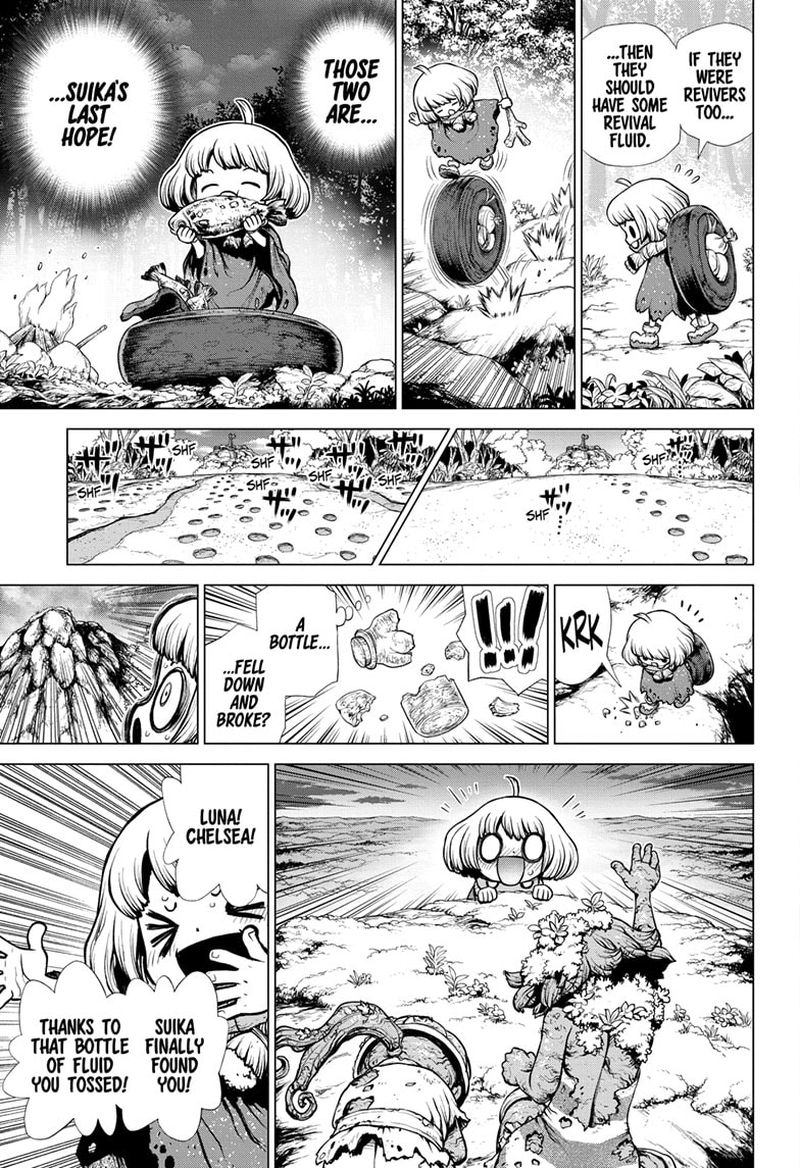 Dr. Stone Chapter 195 - Page 10