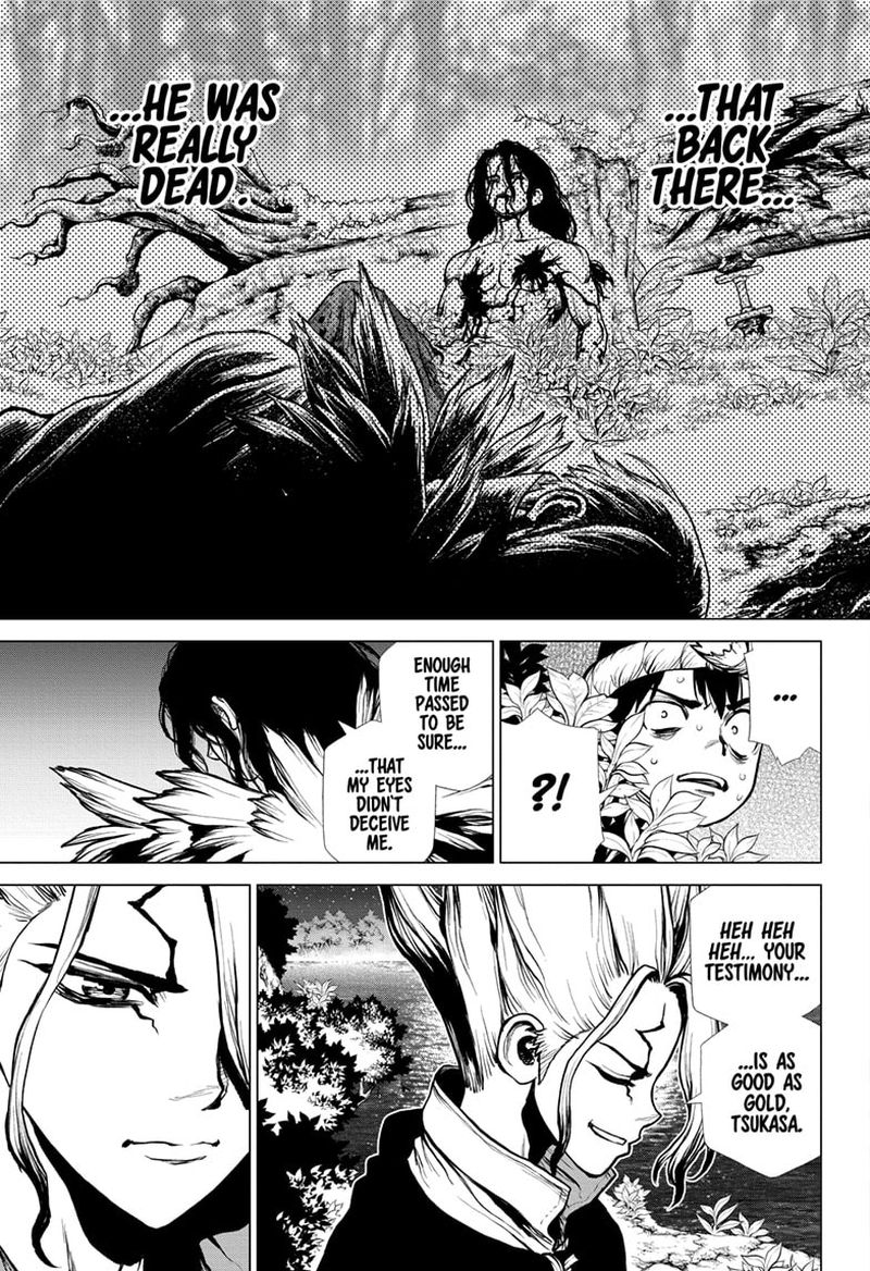 Dr. Stone Chapter 197 - Page 15