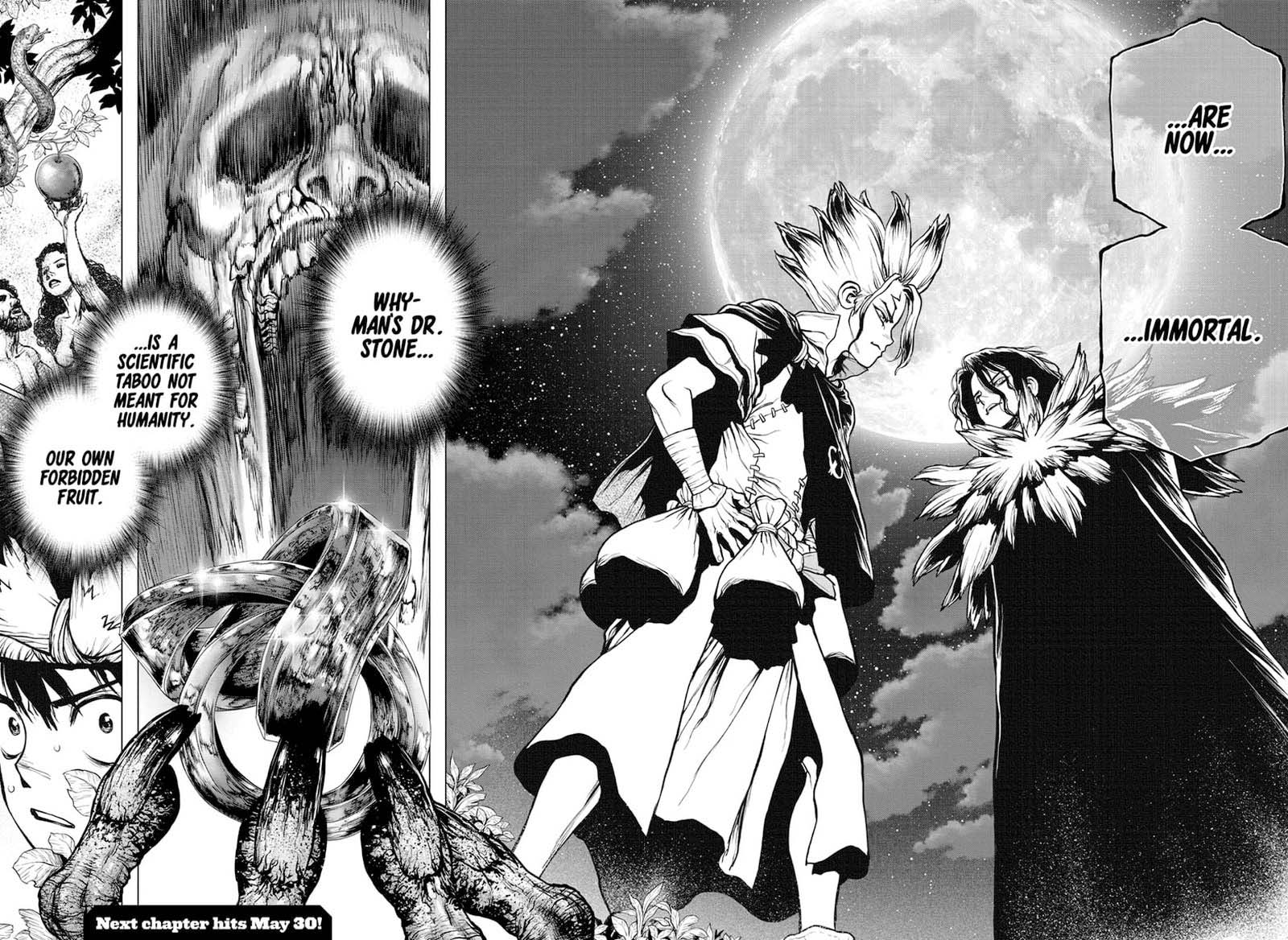 Dr. Stone Chapter 197 - Page 17