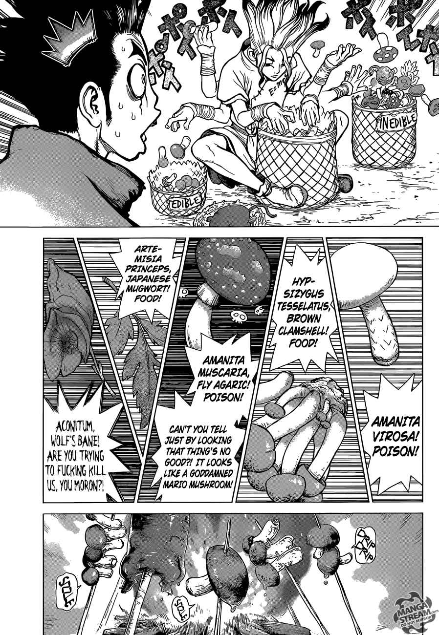 Dr. Stone Chapter 2 - Page 3