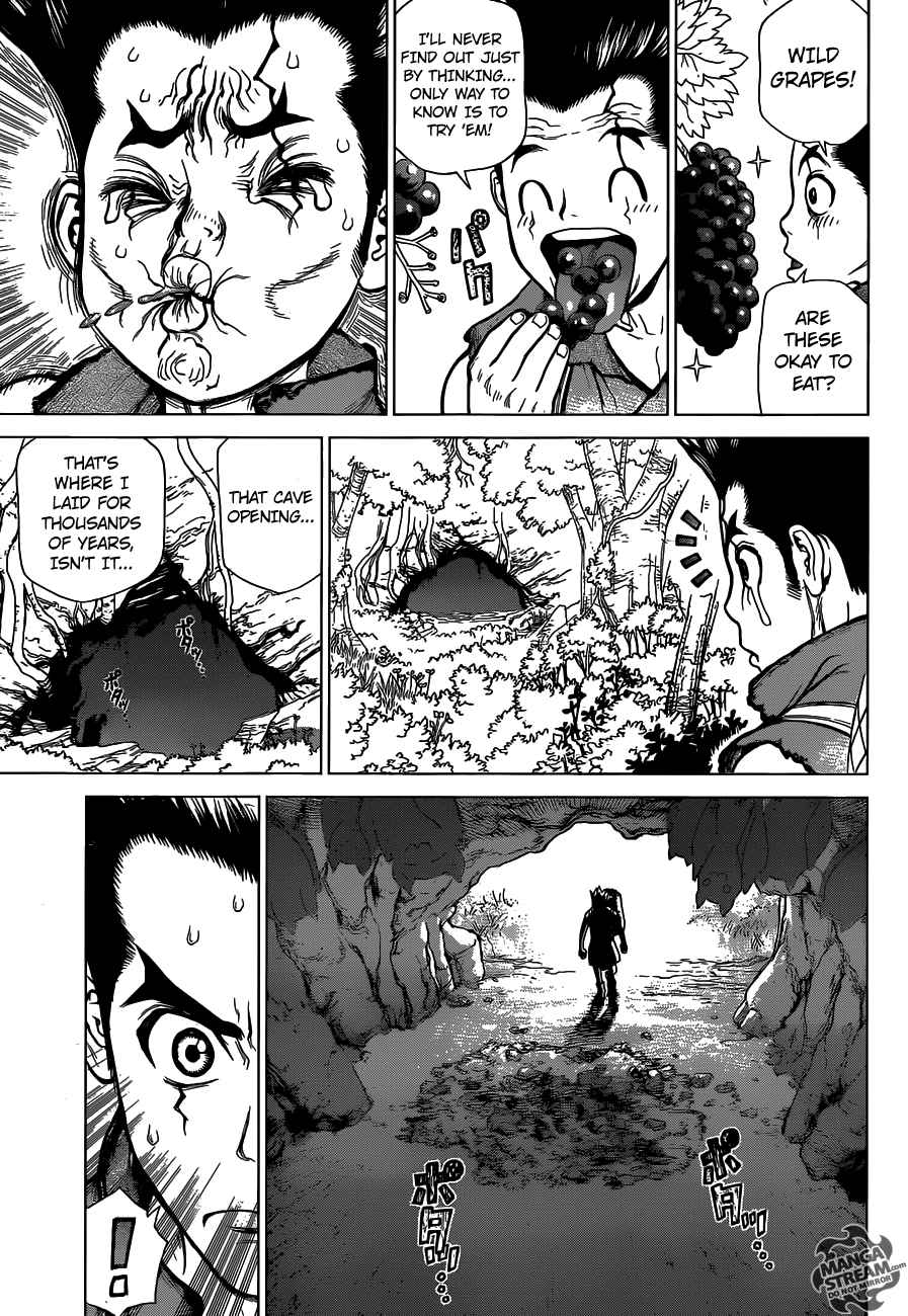 Dr. Stone Chapter 2 - Page 5