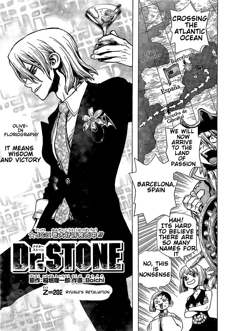 Dr. Stone Chapter 202 - Page 3