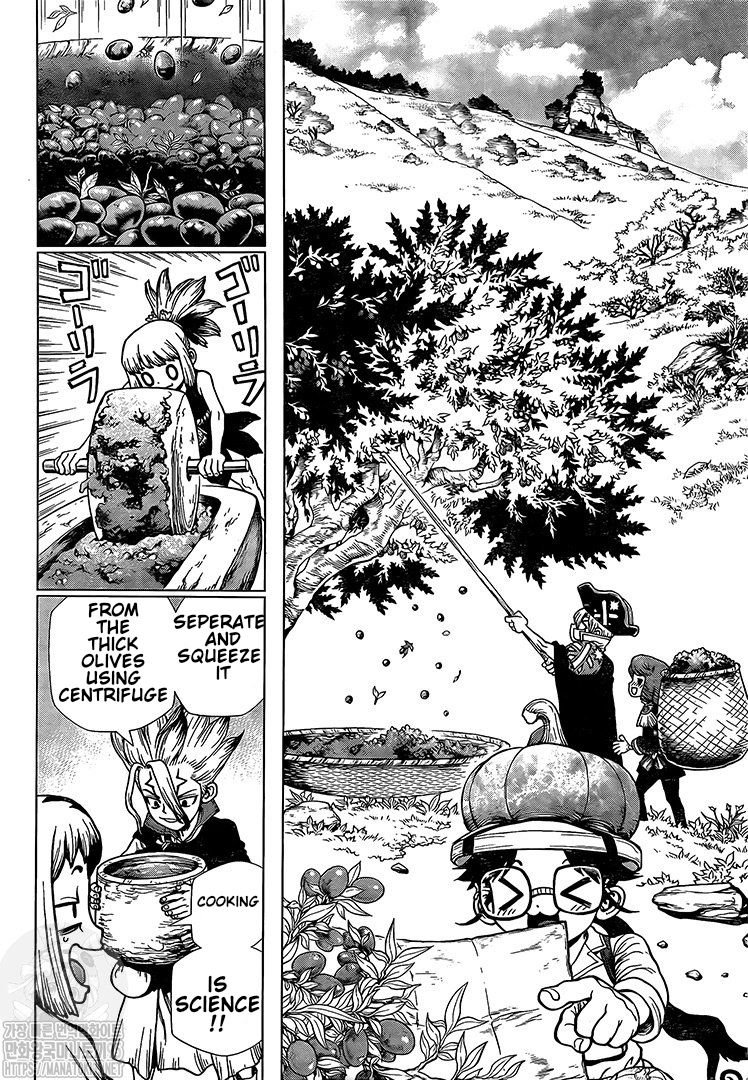 Dr. Stone Chapter 202 - Page 5