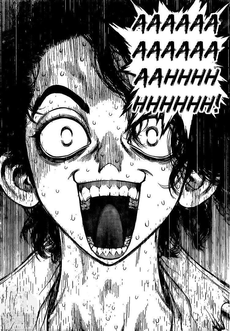 Dr. Stone Chapter 204 - Page 14