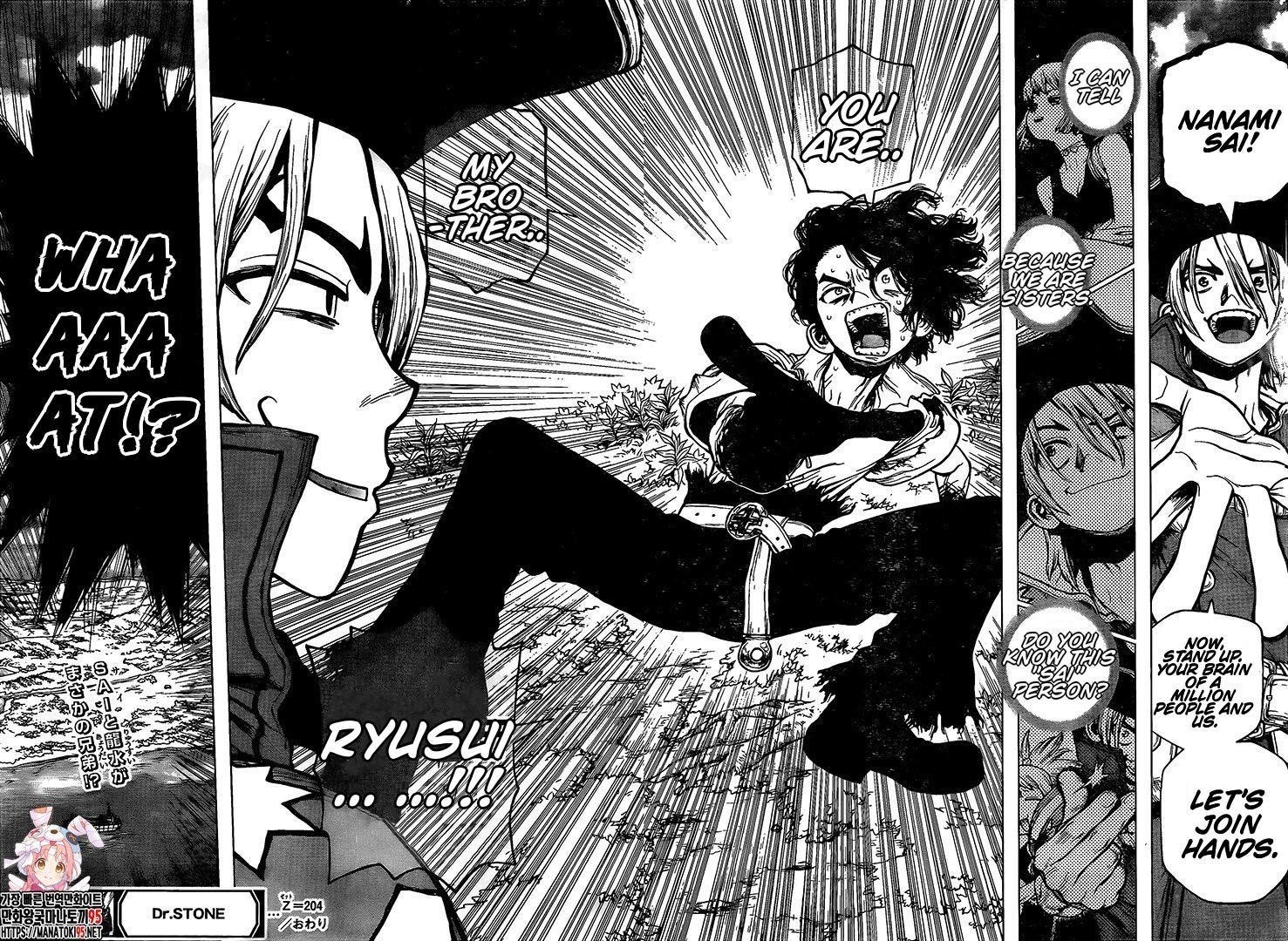 Dr. Stone Chapter 204 - Page 16