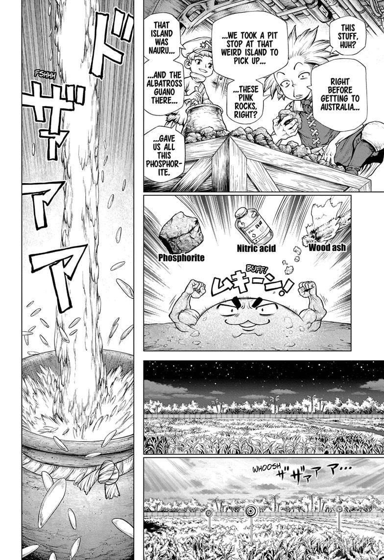Dr. Stone Chapter 211 - Page 11