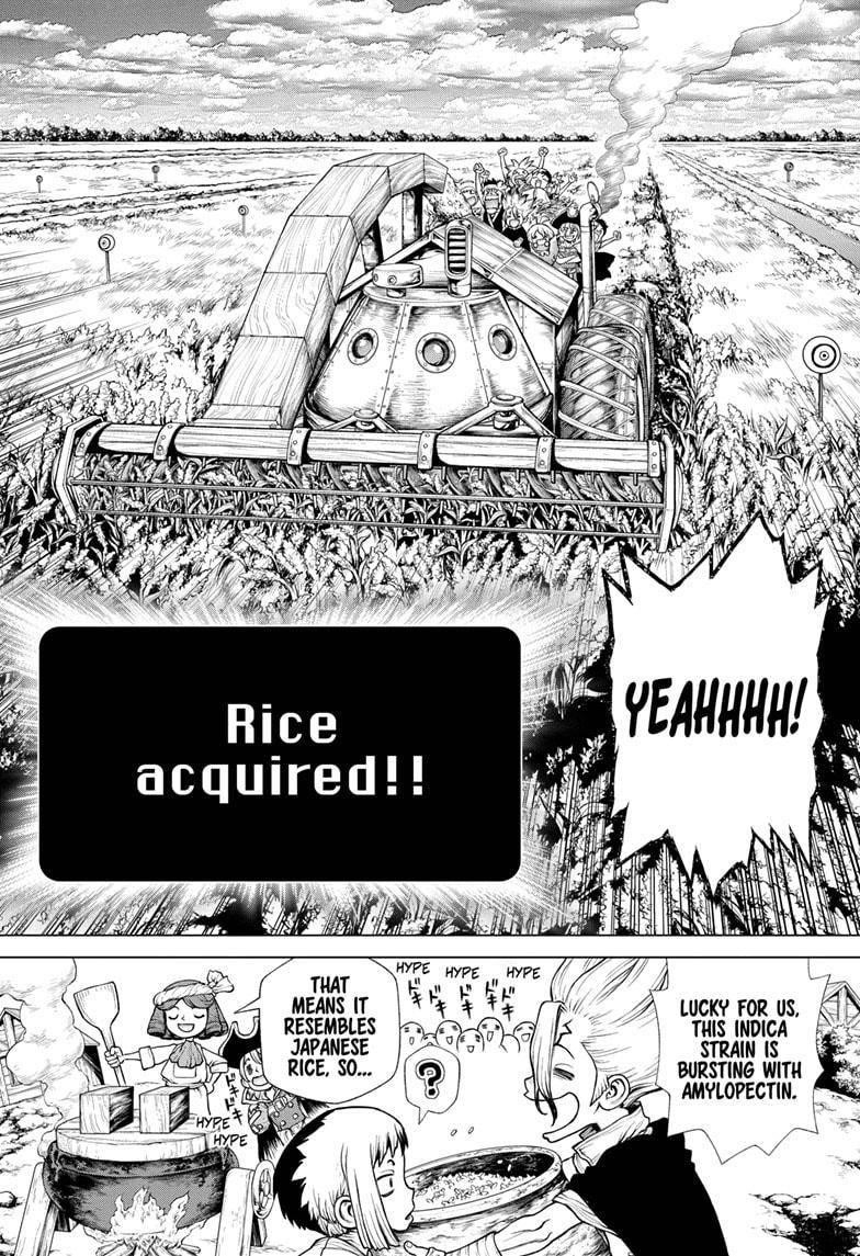Dr. Stone Chapter 211 - Page 12