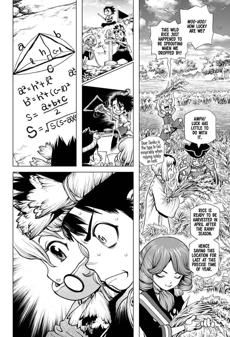 Dr. Stone Chapter 211 - Page 8
