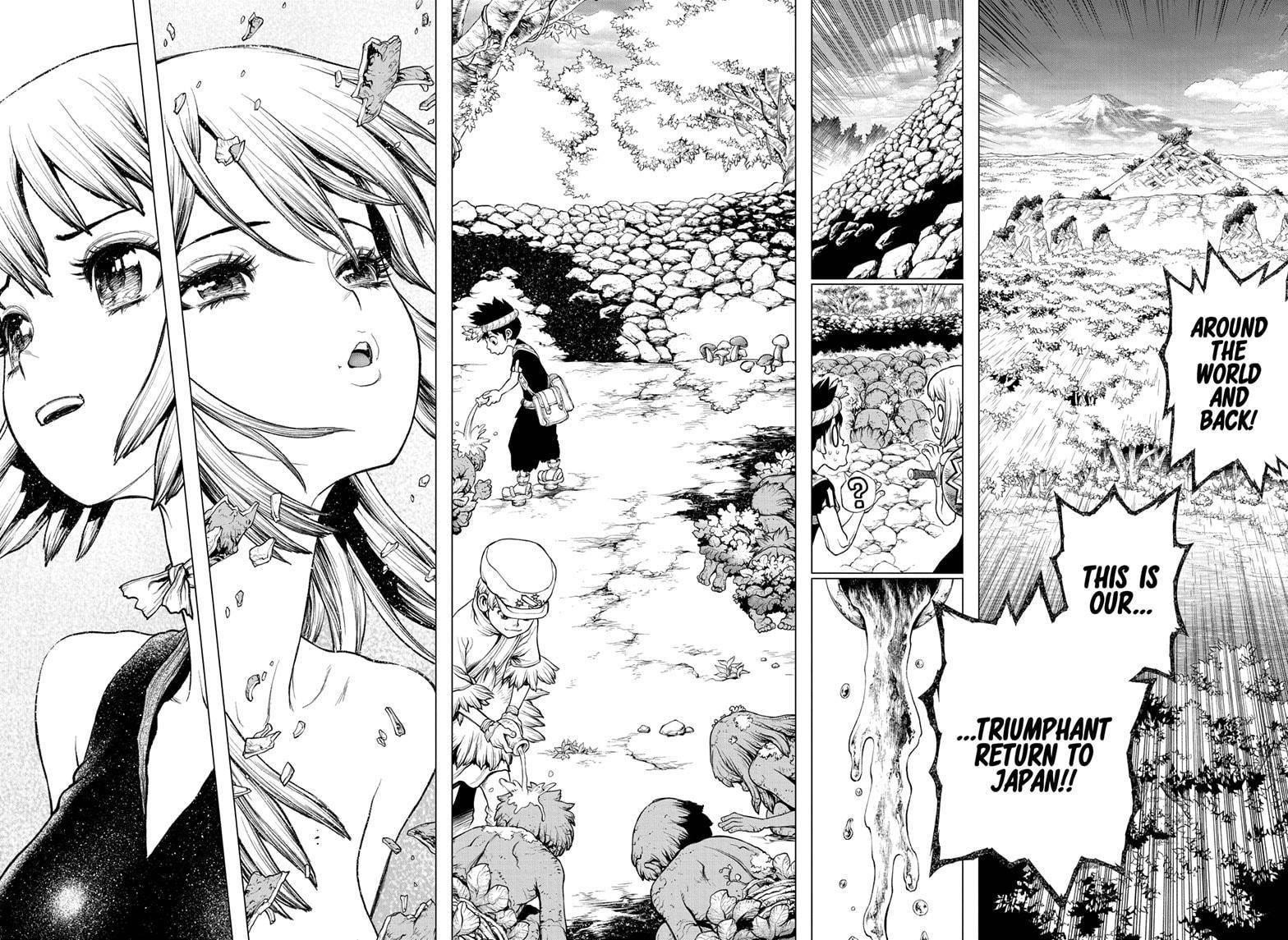 Dr. Stone Chapter 212 - Page 6