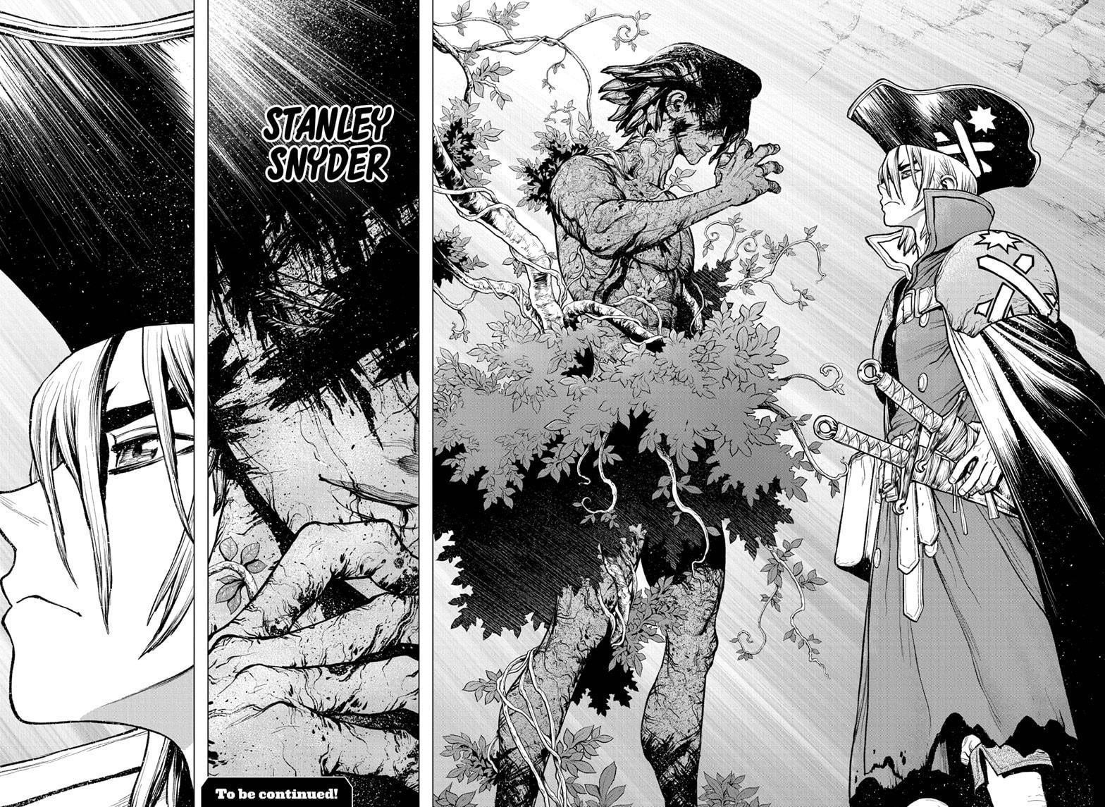 Dr. Stone Chapter 220 - Page 17