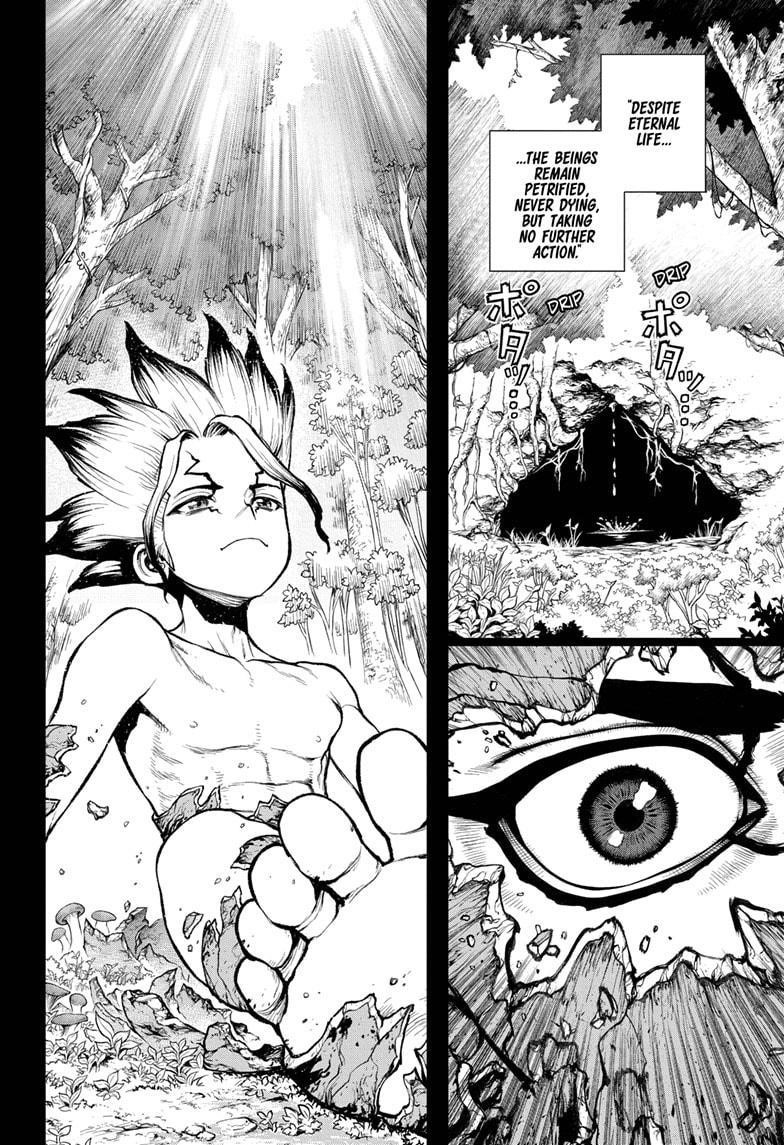 Dr. Stone Chapter 229 - Page 13