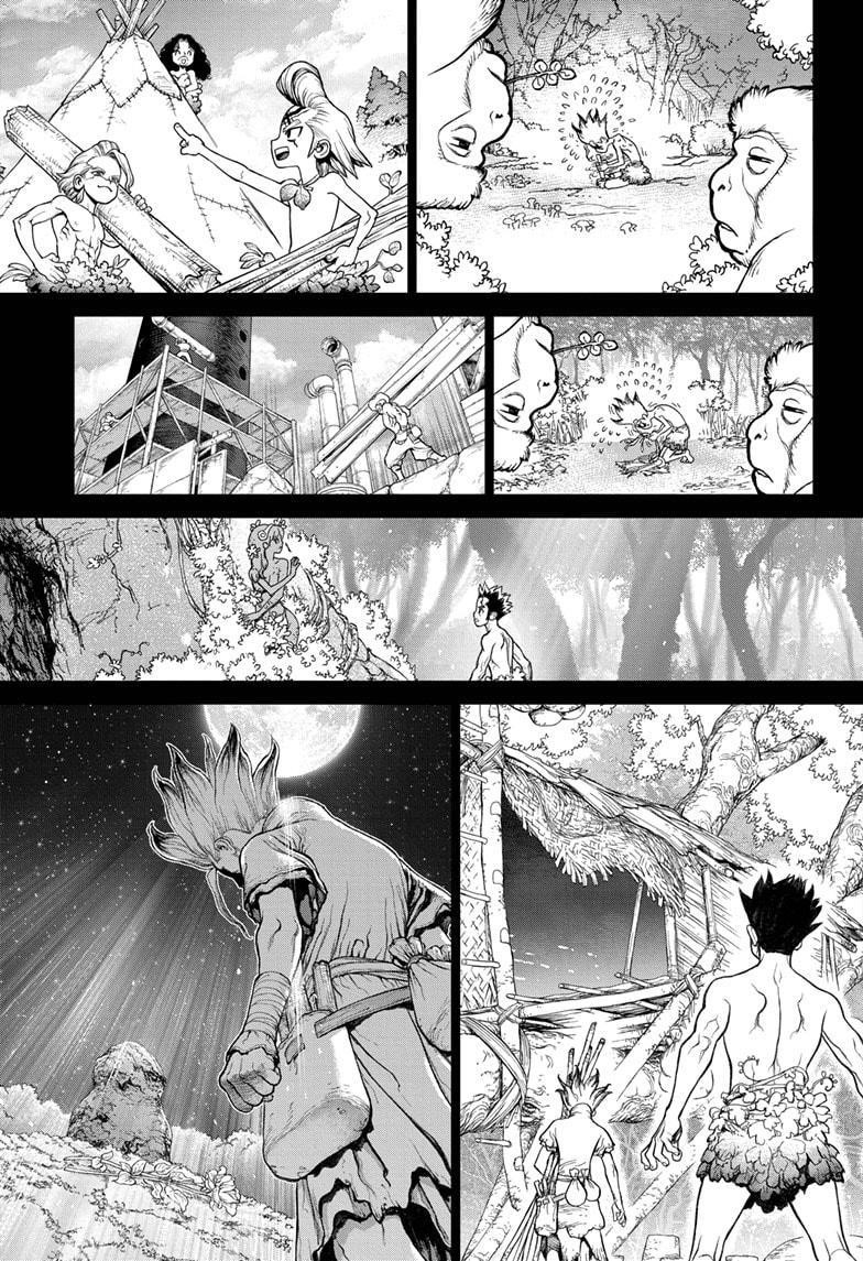 Dr. Stone Chapter 229 - Page 14