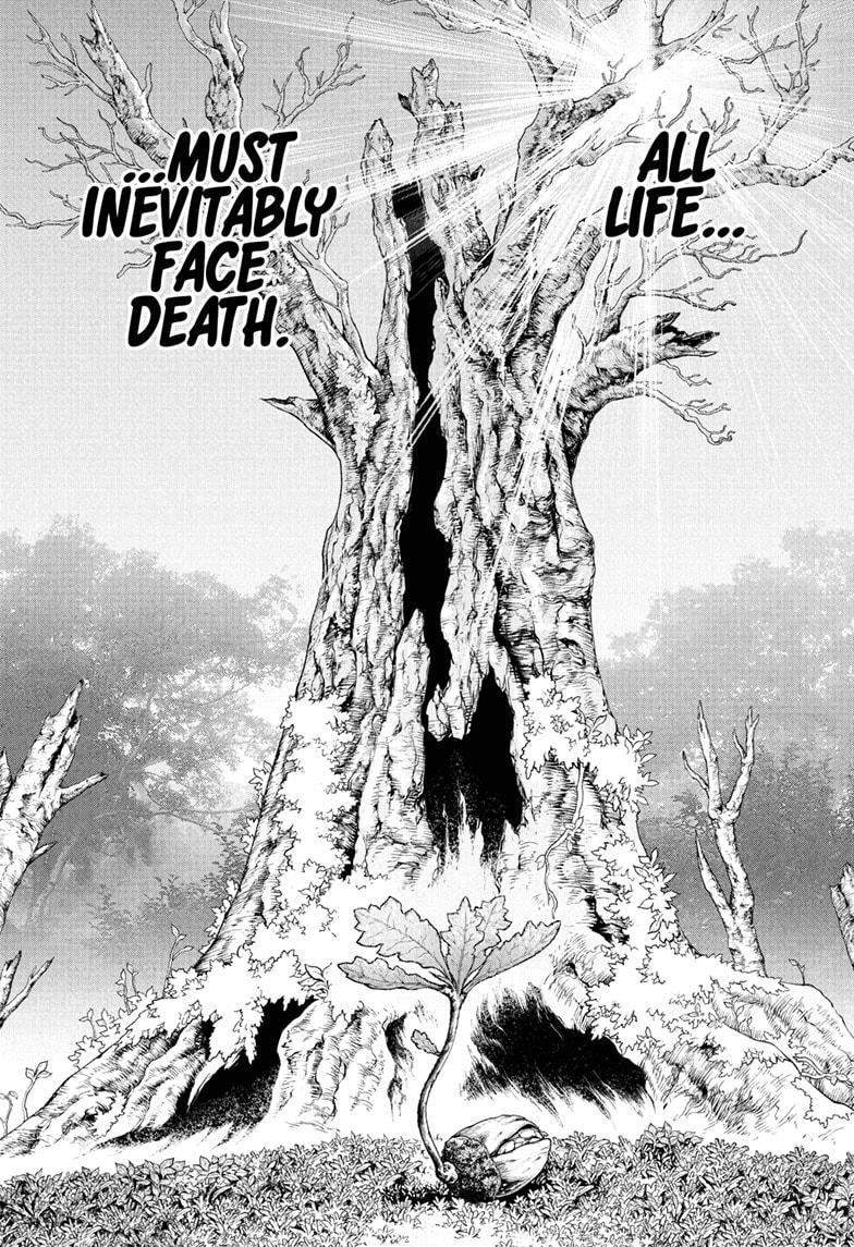 Dr. Stone Chapter 230 - Page 1
