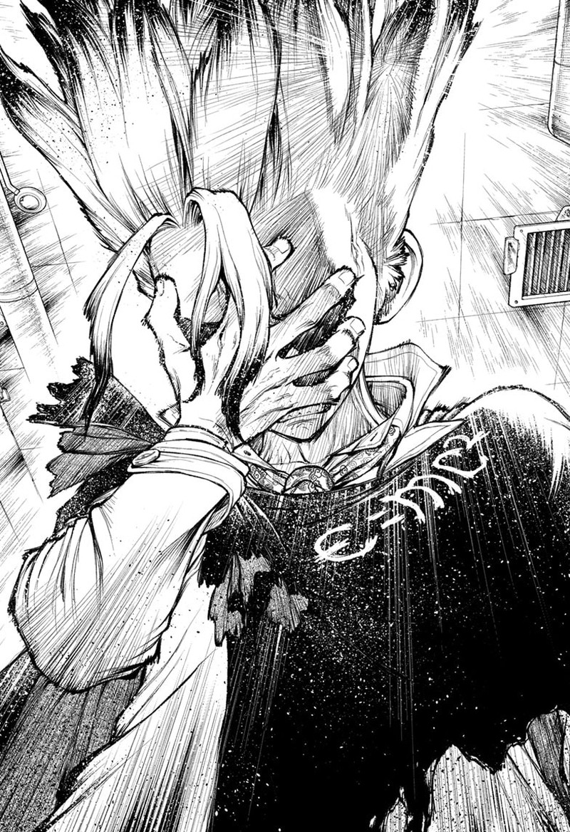 Dr. Stone Chapter 232.8 - Page 17