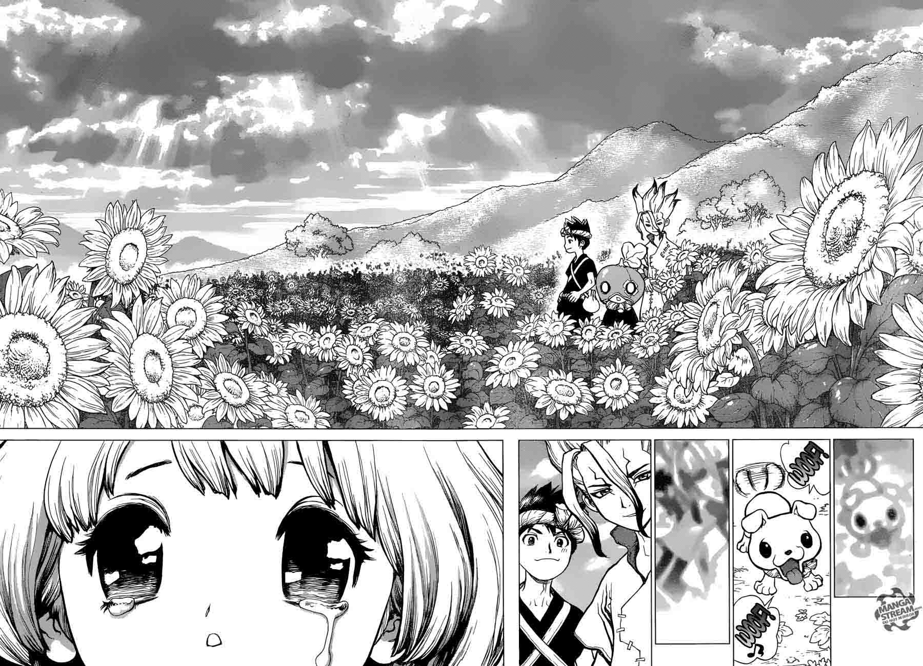 Dr. Stone Chapter 28 - Page 14