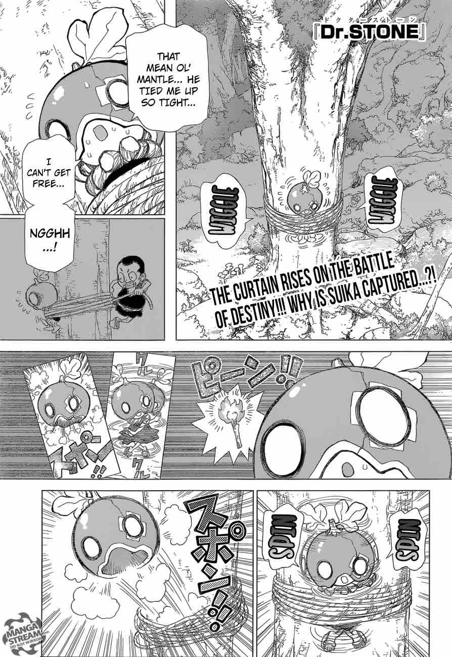 Dr. Stone Chapter 35 - Page 1