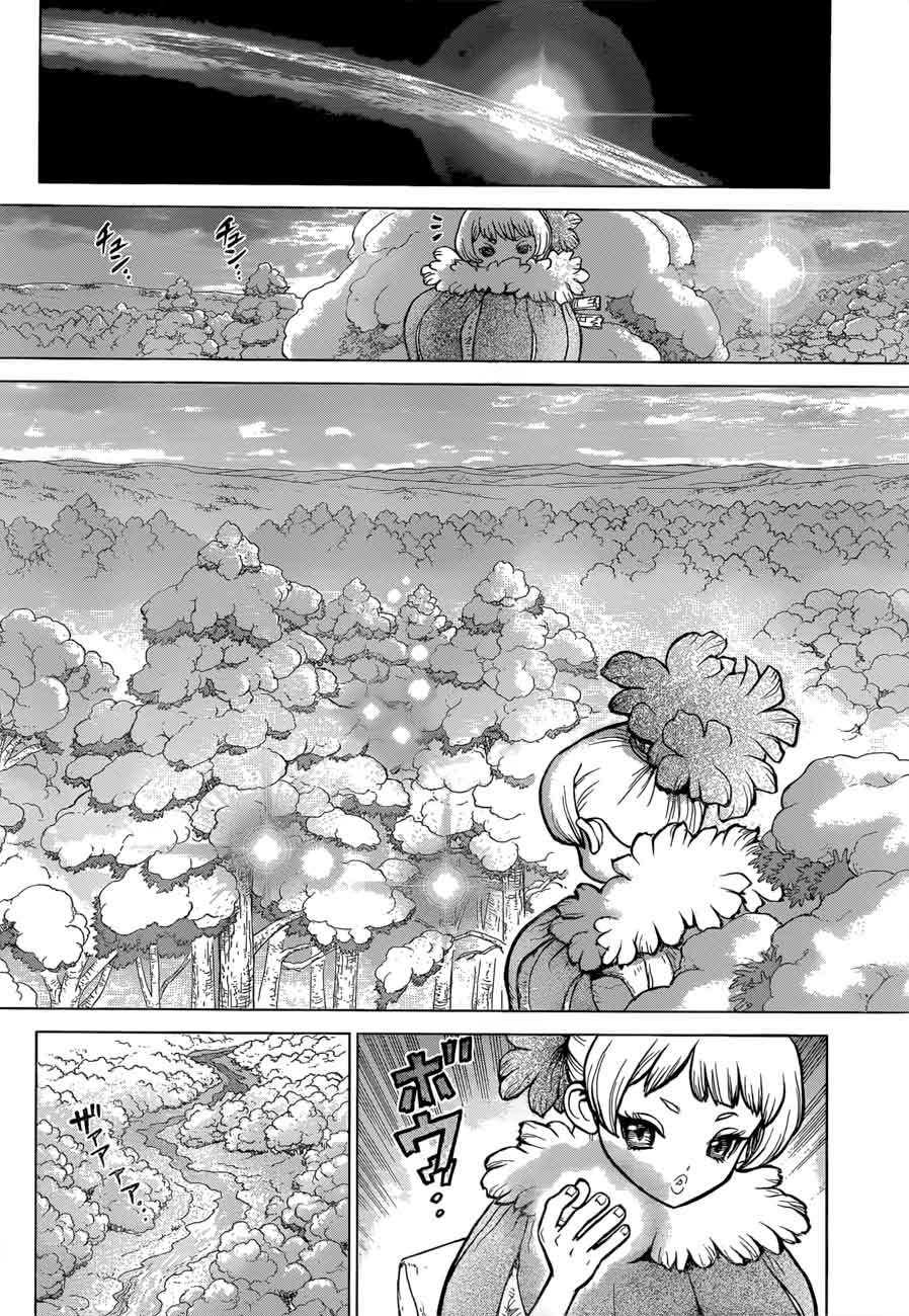 Dr. Stone Chapter 63 - Page 10