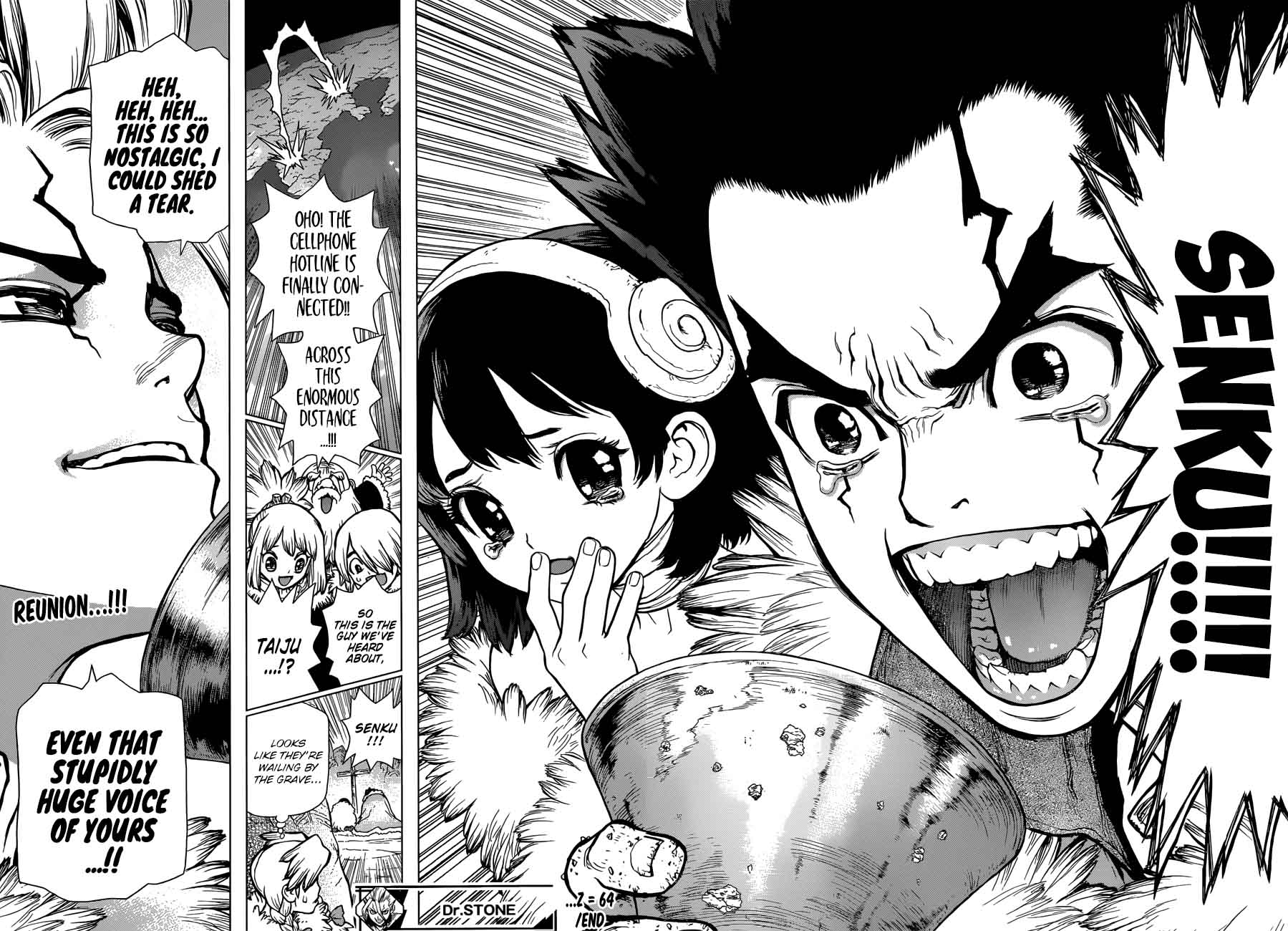 Dr. Stone Chapter 64 - Page 17