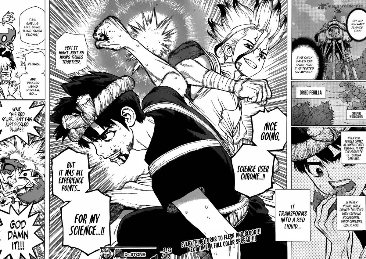 Dr. Stone Chapter 72 - Page 17