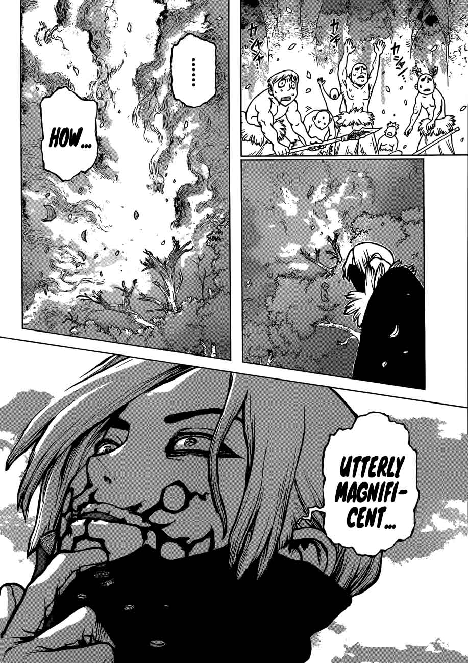 Dr. Stone Chapter 78 - Page 5