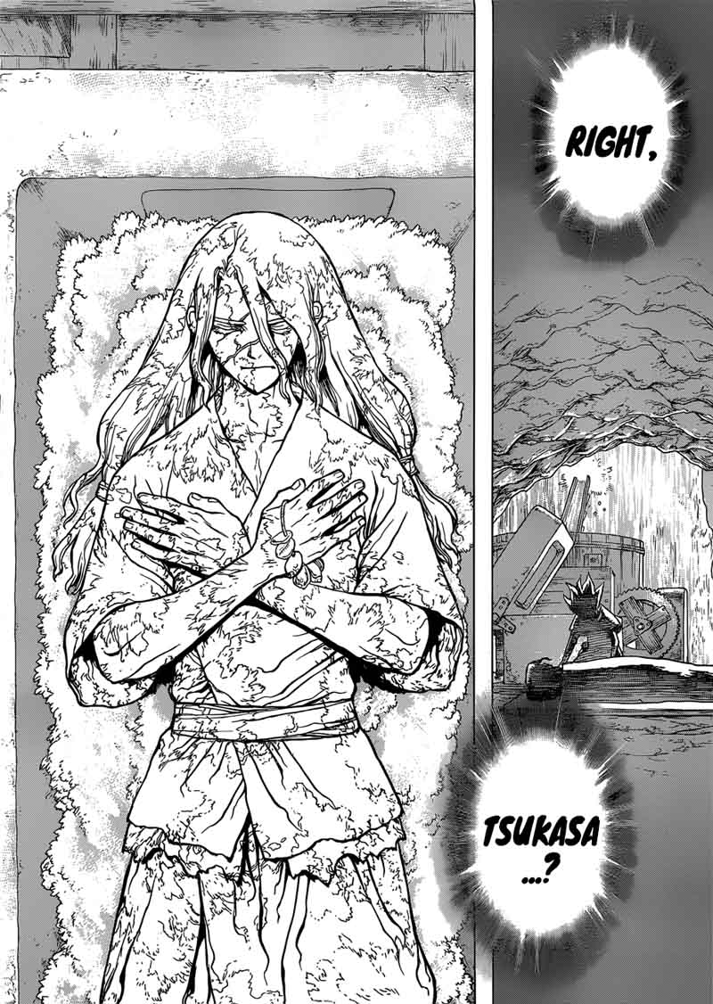 Dr. Stone Chapter 83 - Page 19
