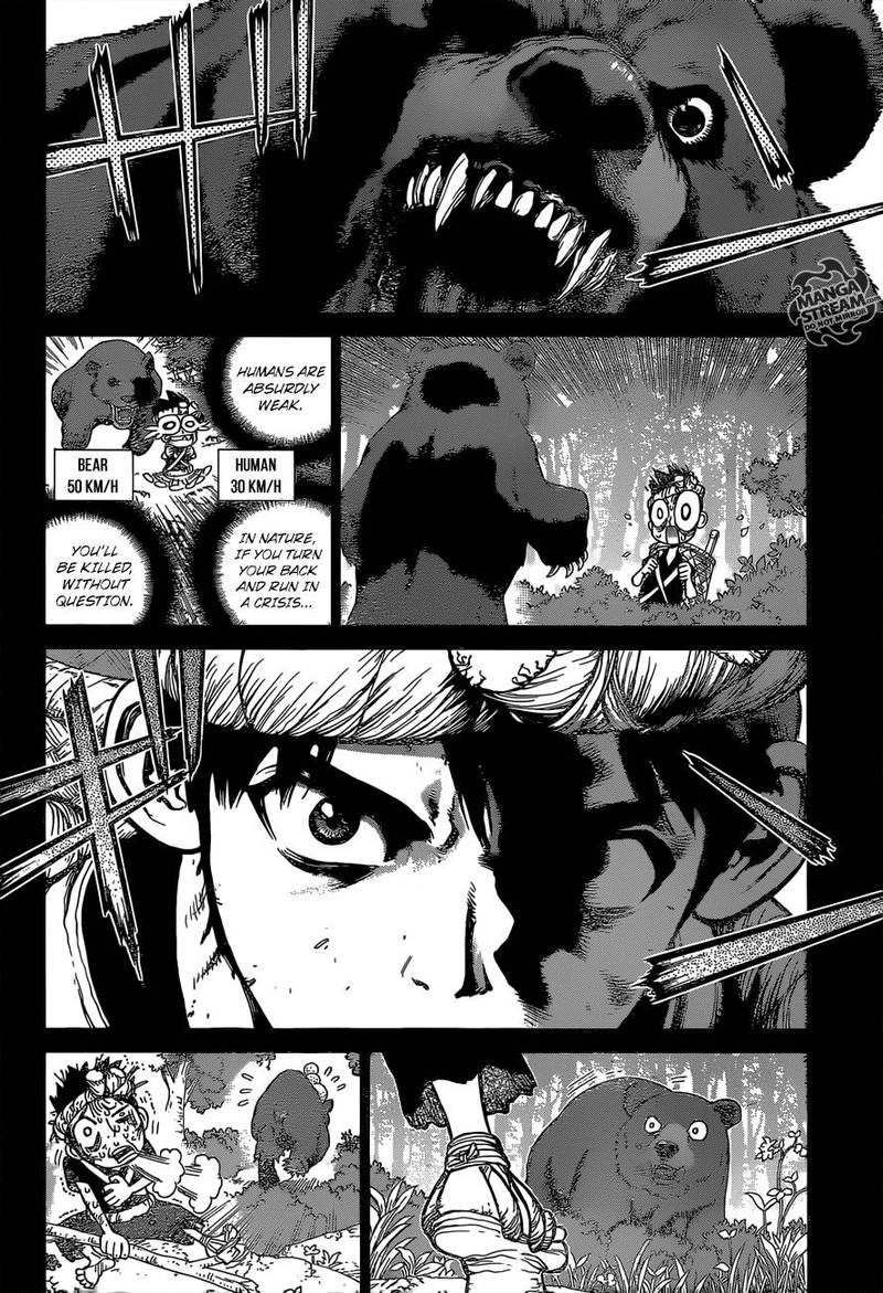 Dr. Stone Chapter 89 - Page 12